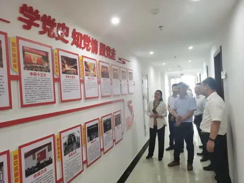 弘揚渡河精神，打造魅力孫口——臺前縣孫口鎮開展喜迎建黨百年主題黨日活動